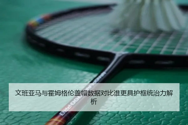 文班亚马与霍姆格伦盖帽数据对比谁更具护框统治力解析